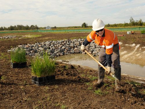 hp-landscape-management-4 landscape management