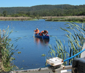 aquatic weed management